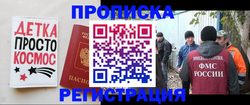 прописка поиск в Курчалом